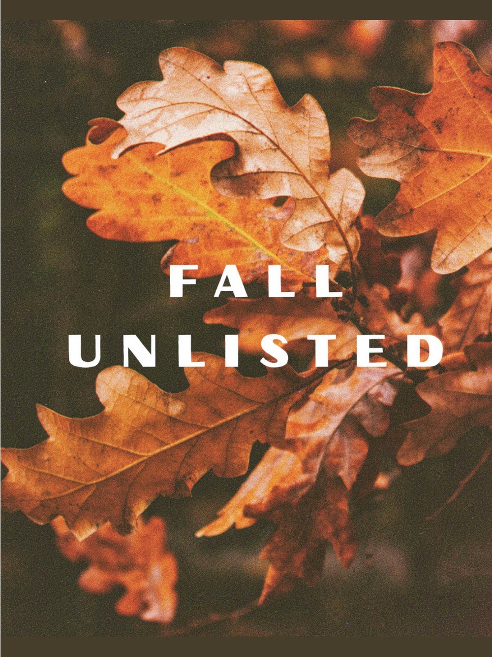 🍁Fall Unlisted Items🍁